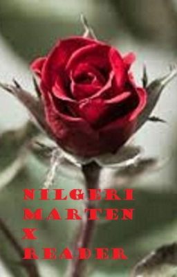 Nilgeri Marten X Reader