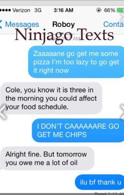 Ninjago texts