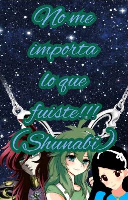 no me importa lo que fuiste!!! (shunabi)