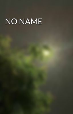 NO NAME