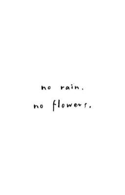 No rain, no flowers// A Bradley Lewis Love Story