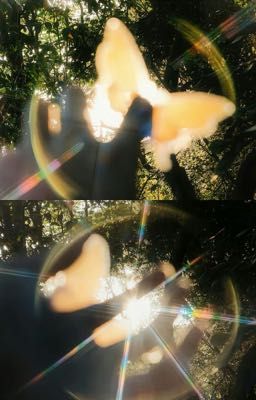 Nợ ⋆˚꩜｡|sonbinh|