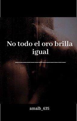 No todo el oro brilla igual (2º libro de No todo lo que brilla es oro)