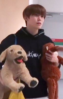 nohyuck/jaedo - ép dầu ép mỡ