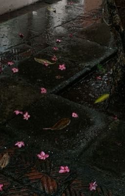 nơi để pê rờ fic mớiii