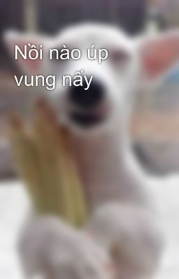 Nồi nào úp vung nấy