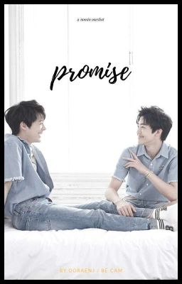 nomin | promise 