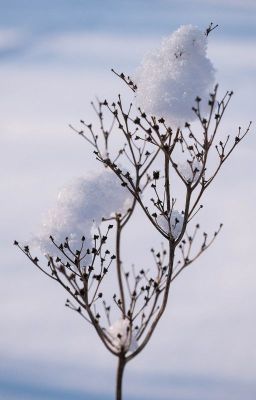 「non-fic 」cất winkdeep vào túi