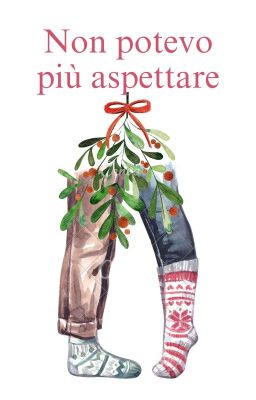 Non potevo più aspettare [Christmas Romance | Friends To Lover]