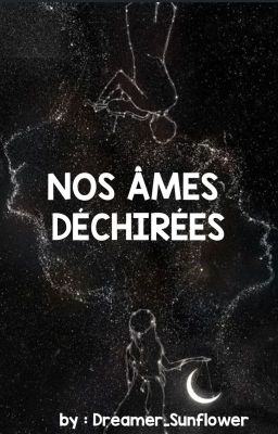 Nos Âmes Déchirées (T2)