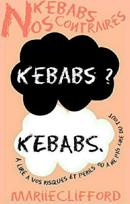 Nos Kebabs Contraires