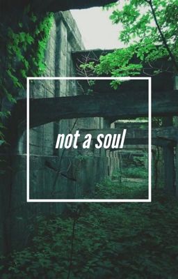 Not A Soul (Book 2 In This Series?)