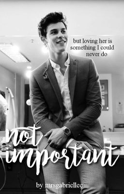 Not Important | Shawn Mendes