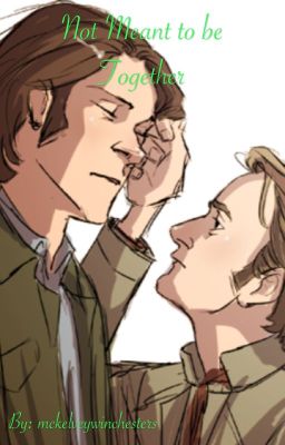 Not Meant to be Together |Sabriel|