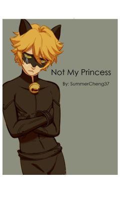 Not My Princess by Summer Cheng