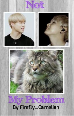 Not My Problem (Yoonmin)