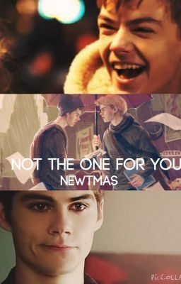 Not the one for you {Newtmas}