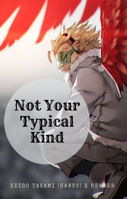 [Not Your Typical Kind] Takami Keigo (Hawks) x Reader