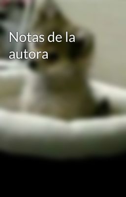 Notas de la autora