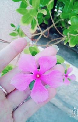 Nothing