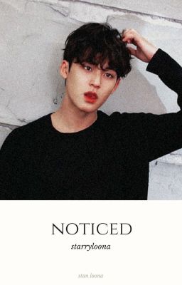 noticed ➤ meanie (book 1)