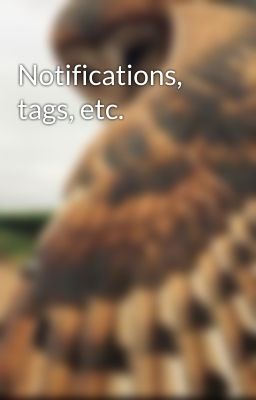 Notifications, tags, etc.