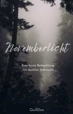 Novemberlicht