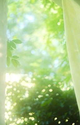 【 NoYe 】Cat outta bag