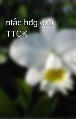 ntắc hđg của TTCK