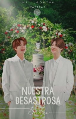 🌺⃟┆Nuestra Desastrosa Boda [KookMin/TaeJin] 