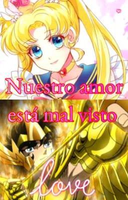 Nuestro amor está mal visto 