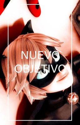 nuevo objetivo (chat noir x M! Reader)