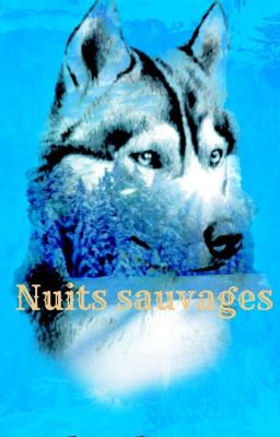 Nuits sauvages