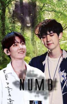 Numb {ChanBaek | BaekYeol}