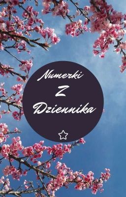 Numerki Z Dziennika