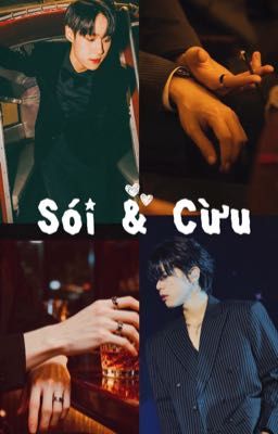 [NutTui] Sói & Cừu (16+)