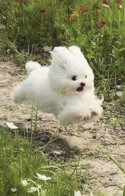 Ở GIỮA HAI THẾ GIỚI...LÀ EM