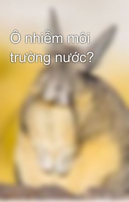 Ô nhiễm môi trường nước?