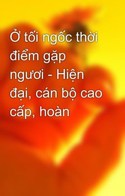 Ở tối ngốc thời điểm gặp ngươi - Hiện đại, cán bộ cao cấp, hoàn