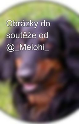 Obrázky do soutěže od @_Melohi_