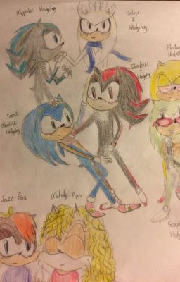 OC's and Sonic characters Chatroom!!!