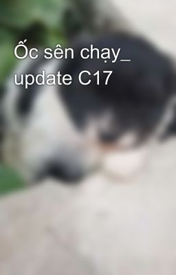 Ốc sên chạy_ update C17