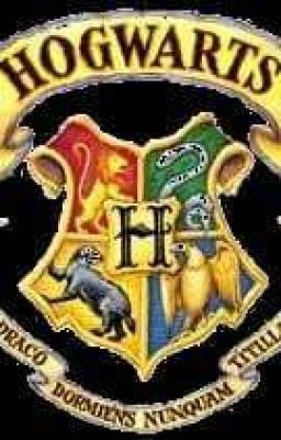 ocs in gryffindor in hogwarts Harry Potter 