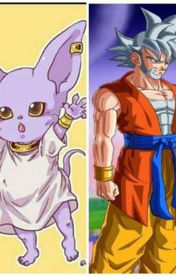 Old Goku y Baby Bills