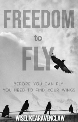 ON HIATUS || Freedom to Fly