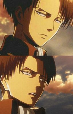 On My Love(levi x reader lemon)