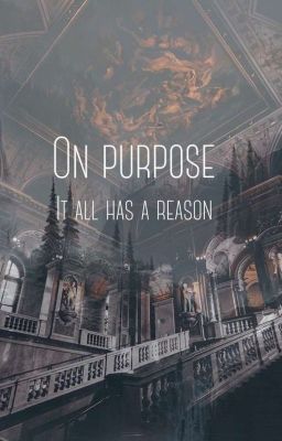 ~On Purpose ~[Rpg Offen]