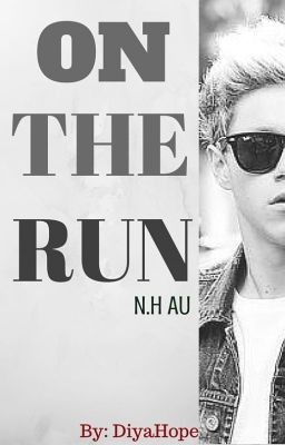 On The Run (N.H au) [HIATUS]