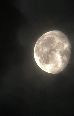on2eus ; mặt trăng ôm trái đất.