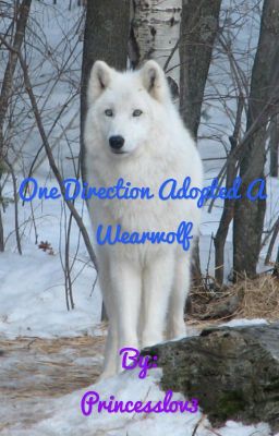 One Direction Adopted A Wearwolf